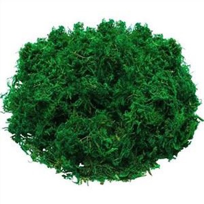 40 گرم 500 گرم خزه اسفاگنوم