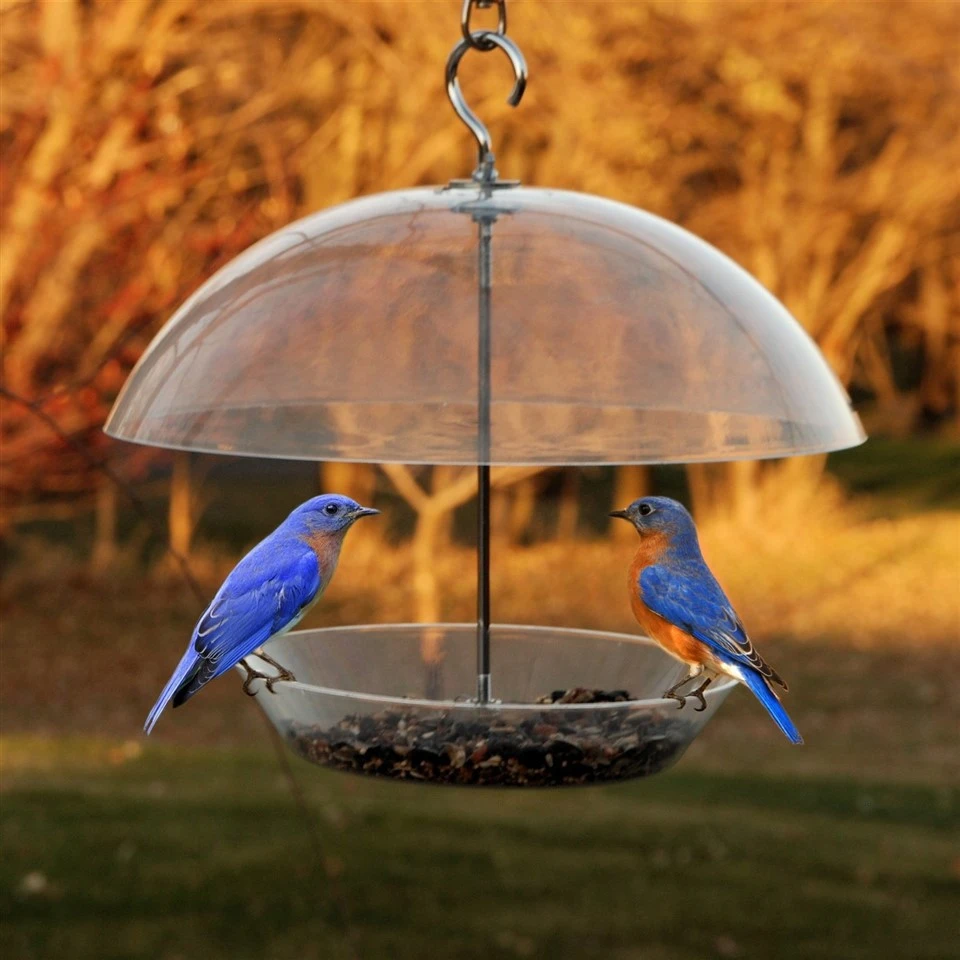 Anti-Squirrel Hanging Feeder