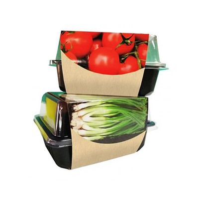 کیت رشد در مینی گلخانه