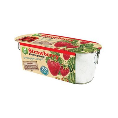 کیت Window Through Growing